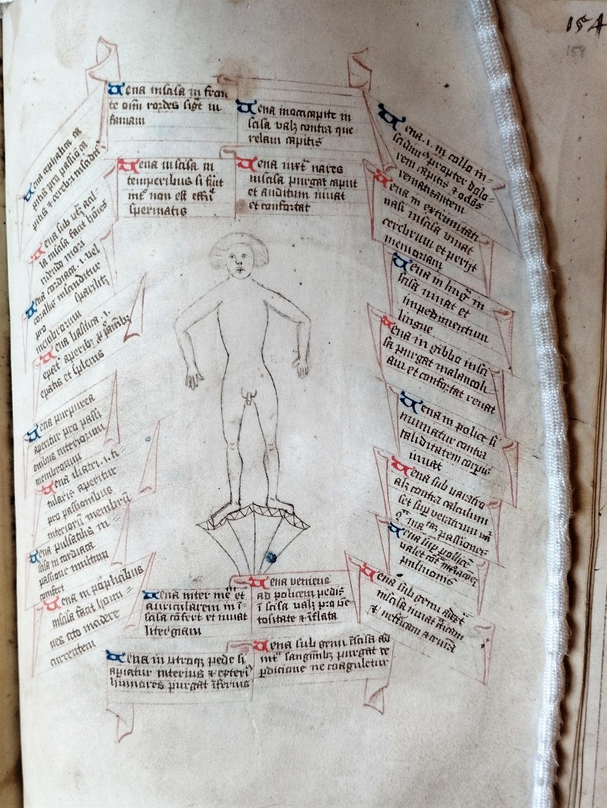 Drawing of a human figure surrounded by Latin text related to the zodiac and its effects on the human body.