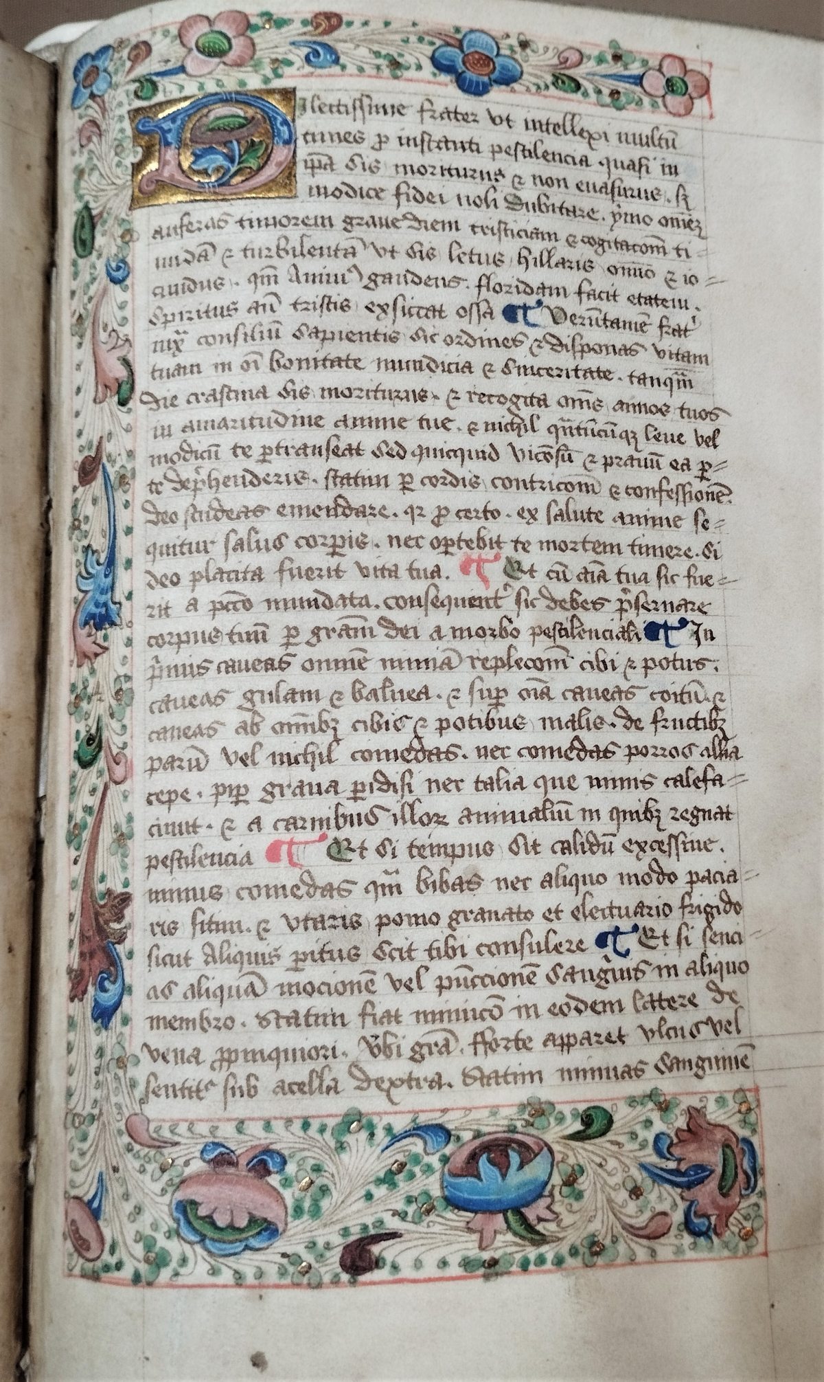 Decorated handwritten page, text in Latin, decorations of flowers and natural elements in gold, red, blue and green.
