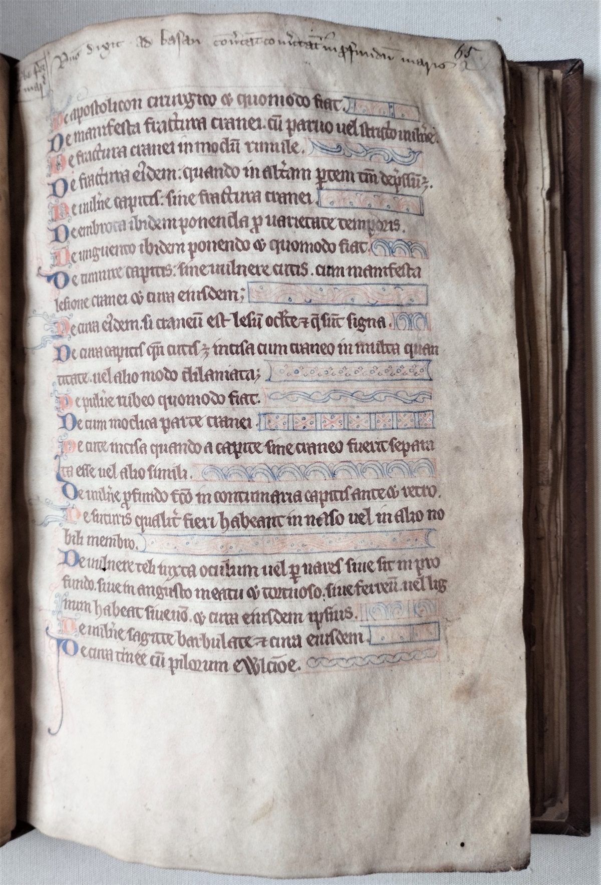 Handwritten page, text in Latin. The first letter of every paragraph is highlighted in red or blue. 