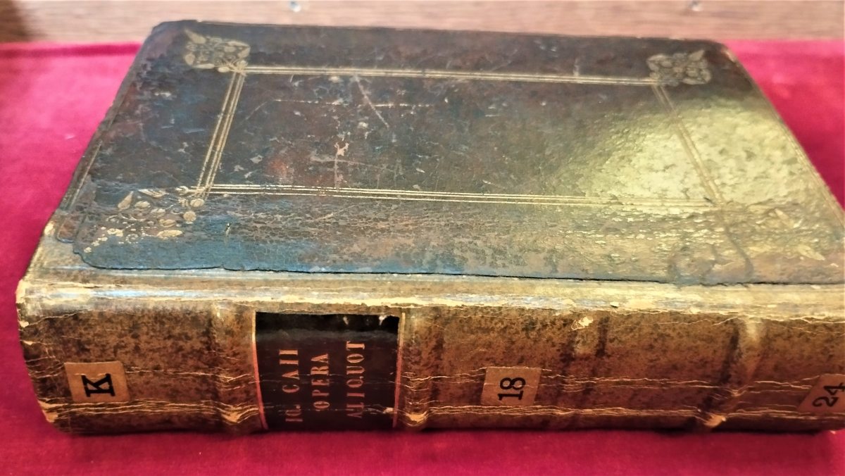 Picture of the external binding of the volume that contains Caius works. Detail of the spine with raised bands, tooling and gold lettering on dark brown spine label. 