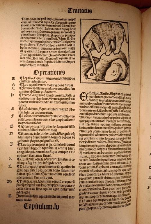 A page from an early printed book, with an illustration showing an elephant-type creature