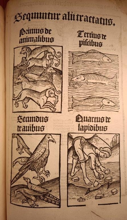 A table of contents from an early printed book, illustrating the four books with pictures of animals, fish, birds and a man picking up rocks.
