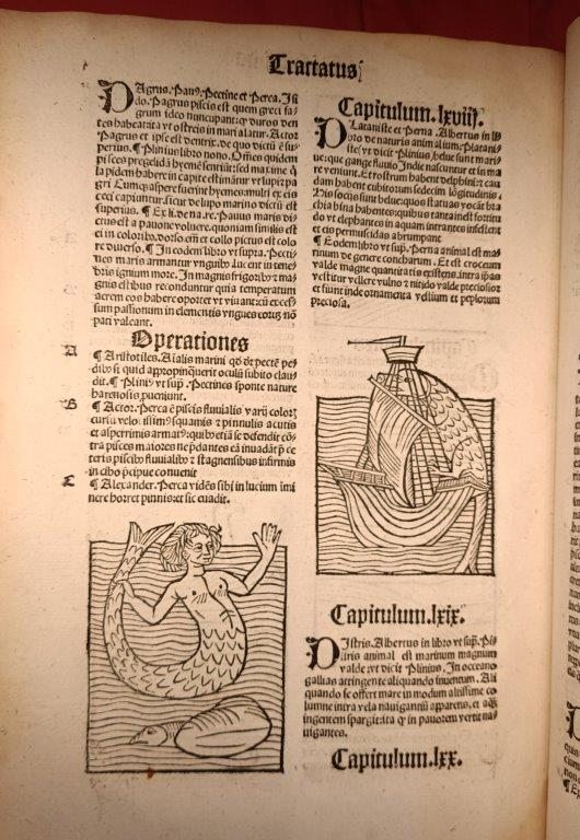 A page from an early printed book, with illustrations showing a merman and a ship.