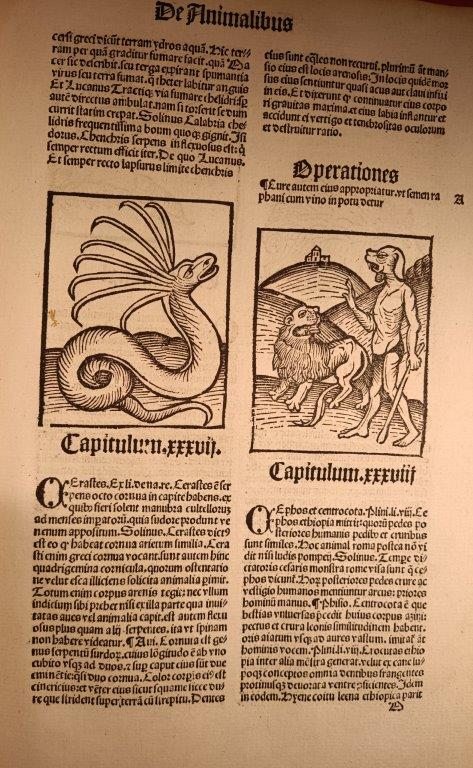 A page from an early printed book, with illustrations showing mythical and fantastic creatures.