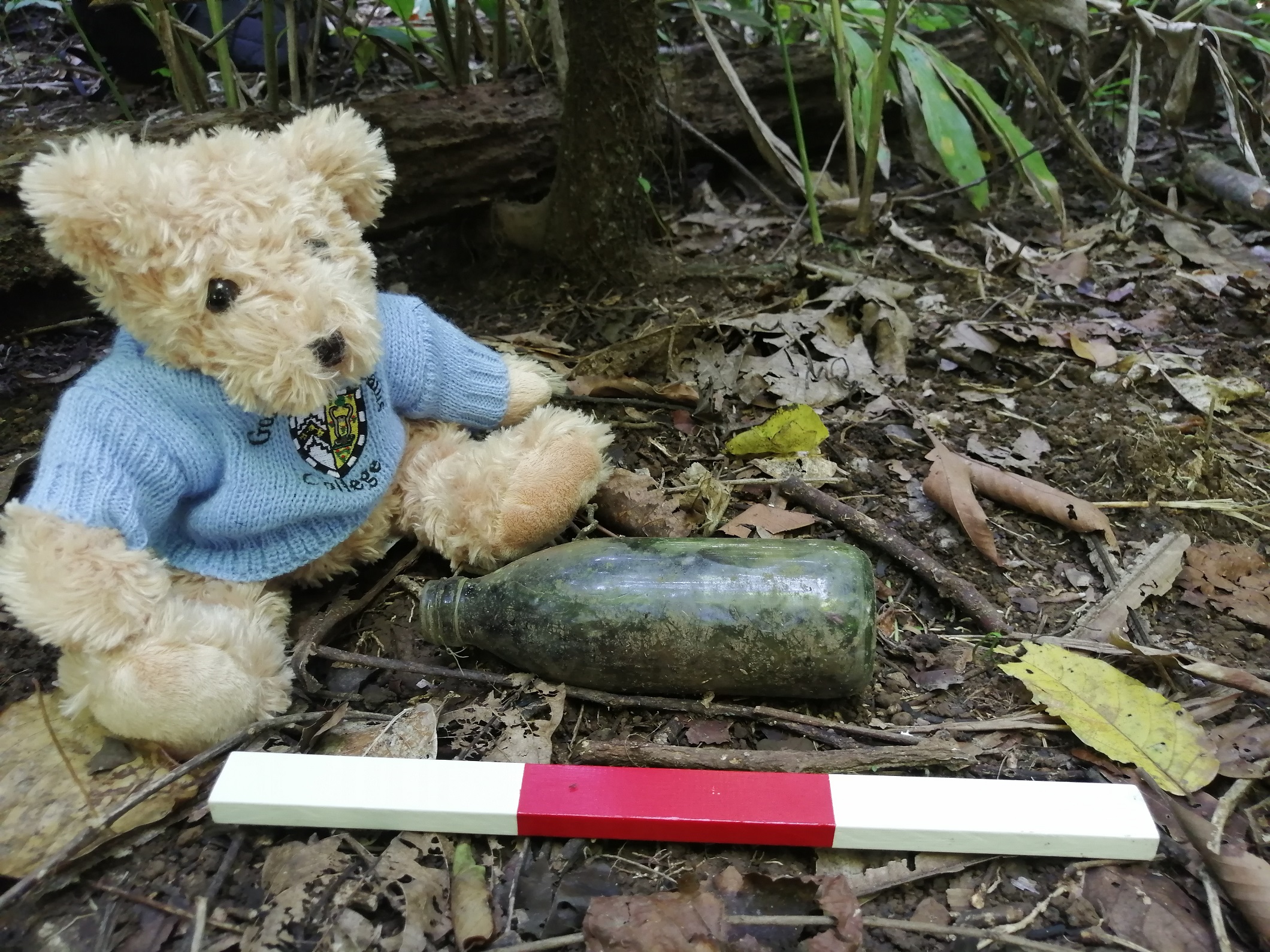 Caius mascot Edmund the Bear on an archaeological expedition