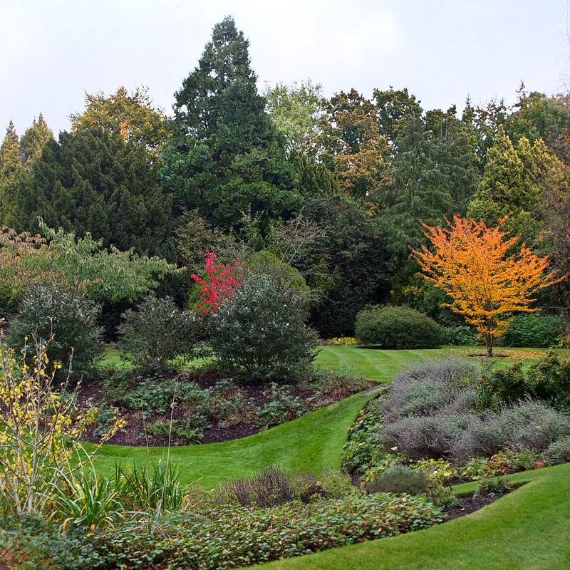 Gardens with leaves changing colours in autumn