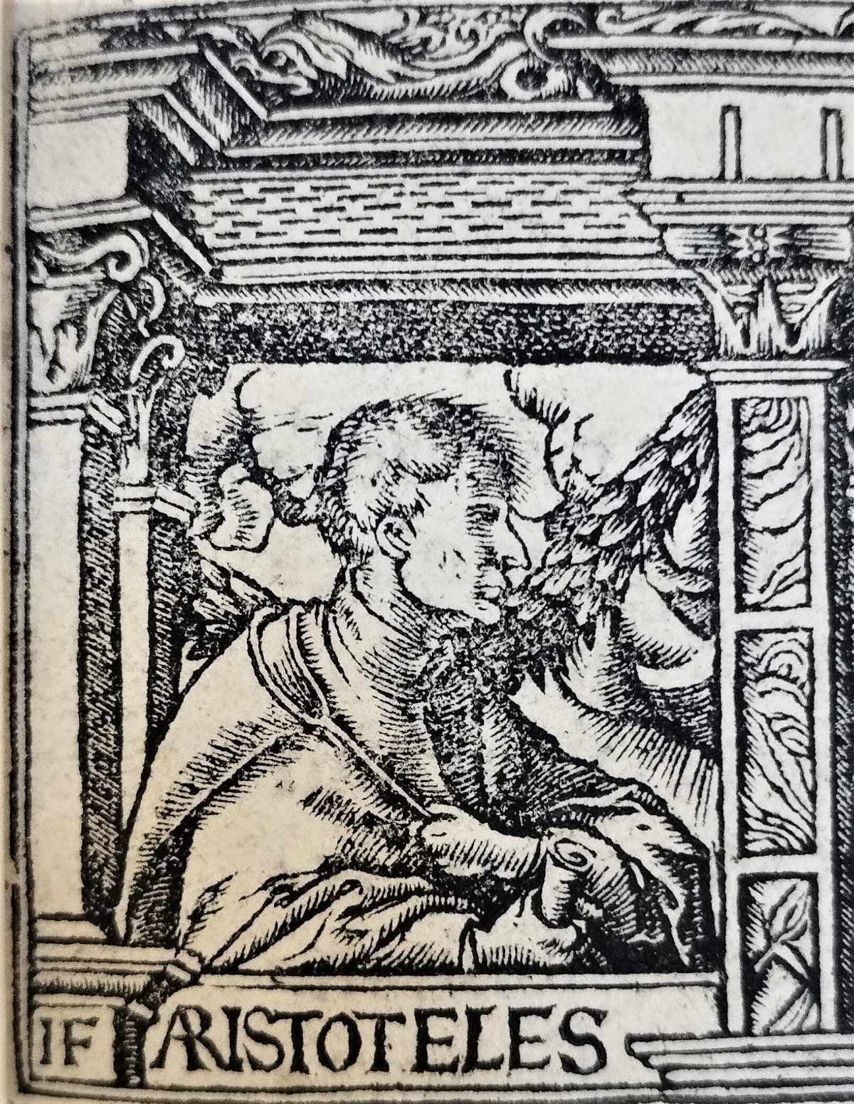 Detail of the woodcut in the title page, a portrait of Aristotle.