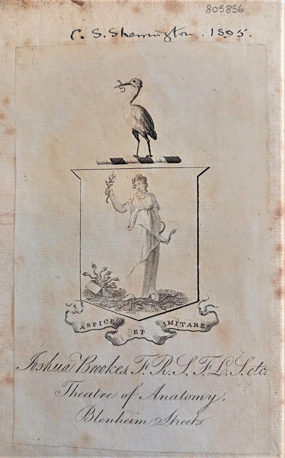 A bookplate showing the the book once belonged to Joshua Brookes of the Theatre of Anatomy, Blenheim Streets. The bookplate depicts a figure holding a brang in one hand and a snake in the other, confronting a box of snakes. 