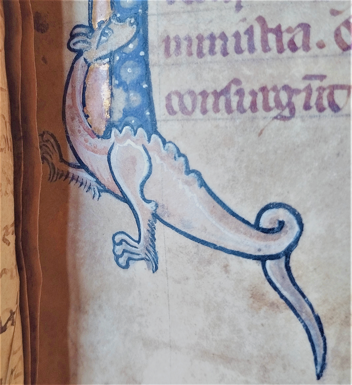 Decorative element in a corner of the page, showing unknown animal similar to a dragon, wingless with a long tail and two legs.