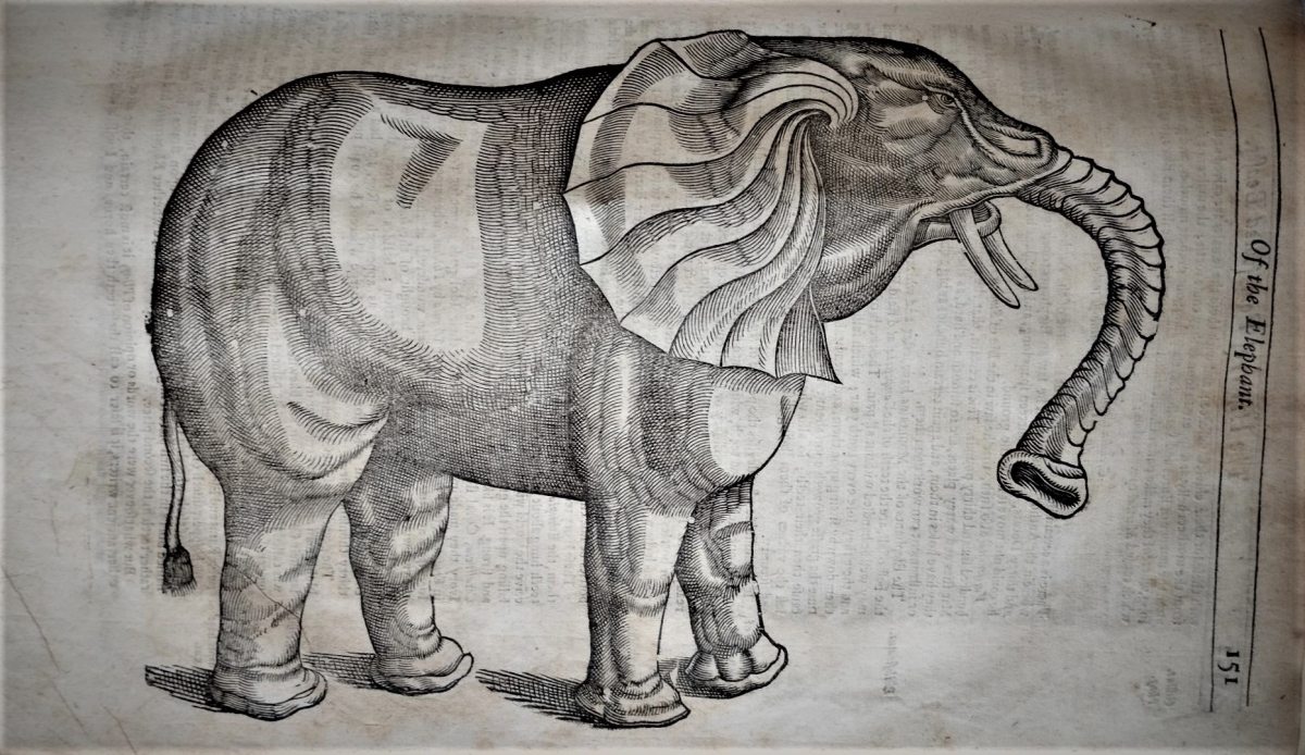 Woodcut of an elephant. 