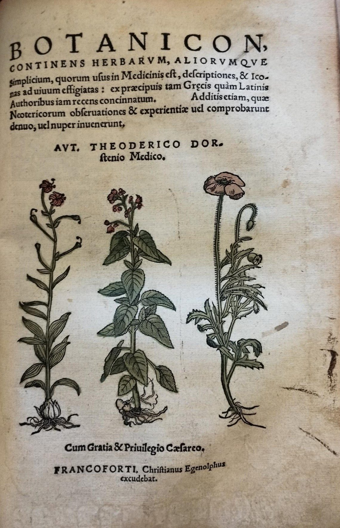 Illustrated title page of the book "Botanicon" by Theodorico Dorsten. 